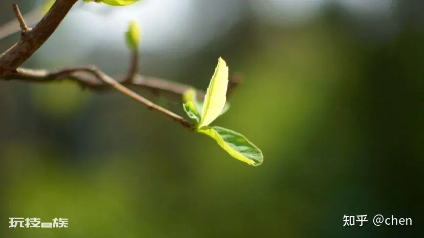 诗词里的春天-图片1