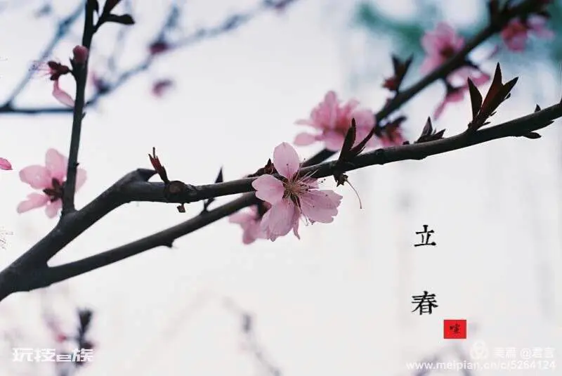 诗词里的春天-图片4