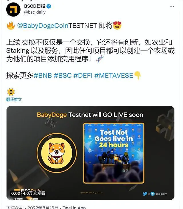 Baby Doge(宝贝狗)还能崛起甚至超越SHIB(屎币)吗?-图片4