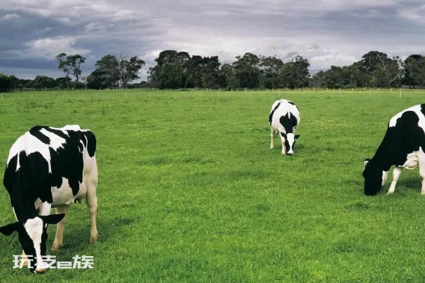 伊利和蒙牛哪个更好-图片5