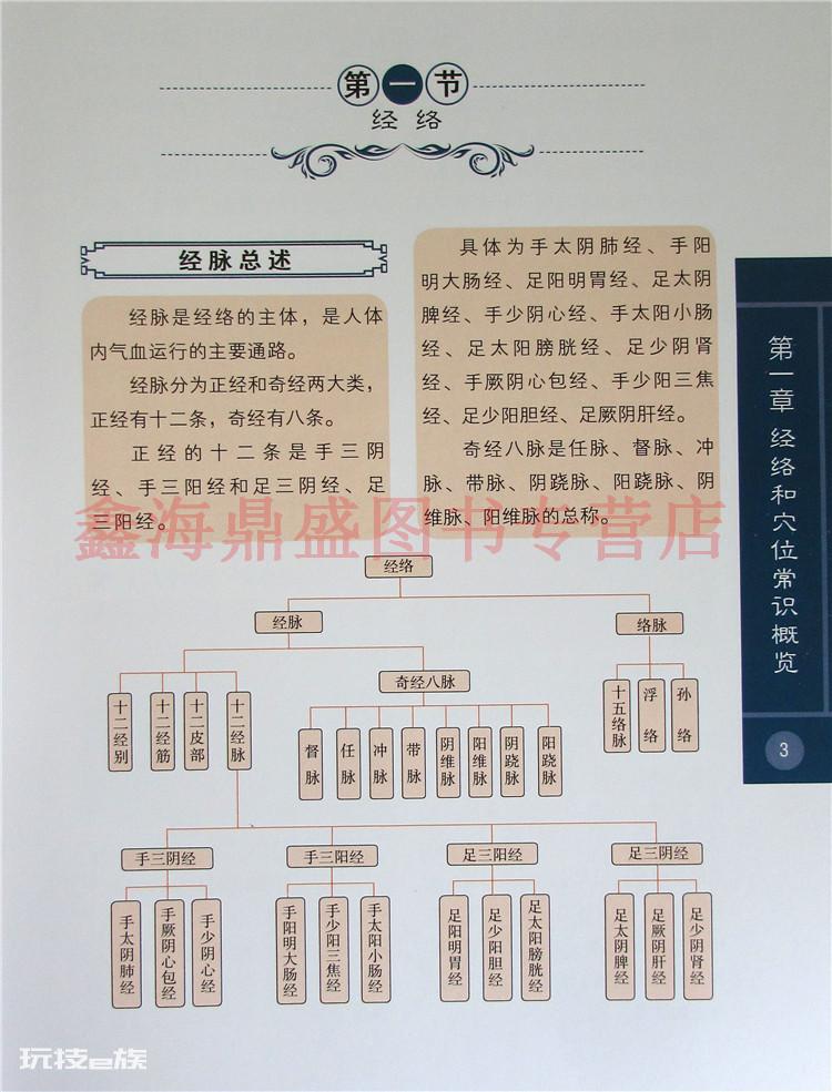 中医经络疗法在德国小镇生根开花-图片3