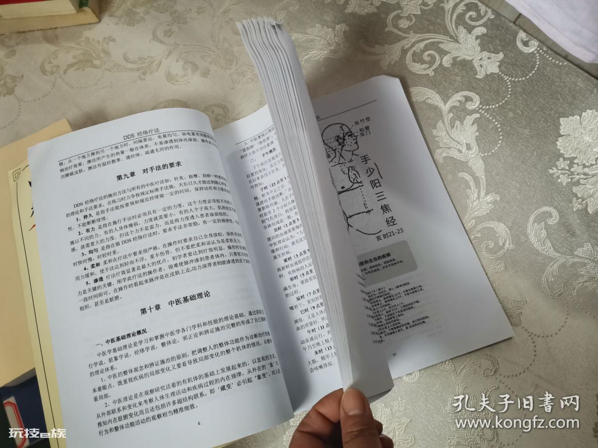 中医经络疗法在德国小镇生根开花-图片4