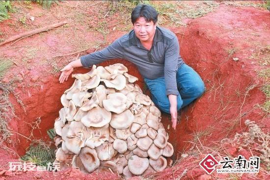 野生羊肚菌市场价格多少钱一斤?-图片8