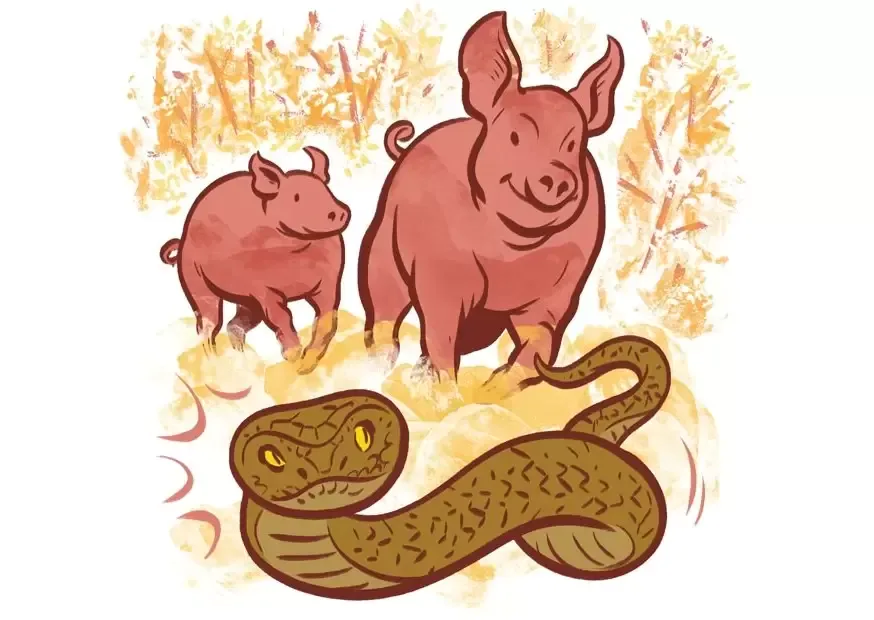 民间故事:寡妇河边洗衣,被一条人头蛇咬中屁股,牵出一桩风月案-图片5