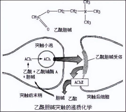 槟榔禁售，仅仅是因为致癌吗？？-图片3