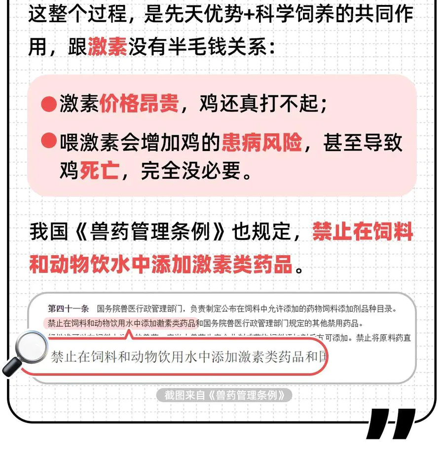 42天猛长5斤的鸡,是打了激素吗?-图片2