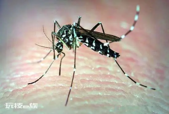 黑人吓人有多吓人_什么动物最吓人_就这么吓人打药后的肌肉多吓人