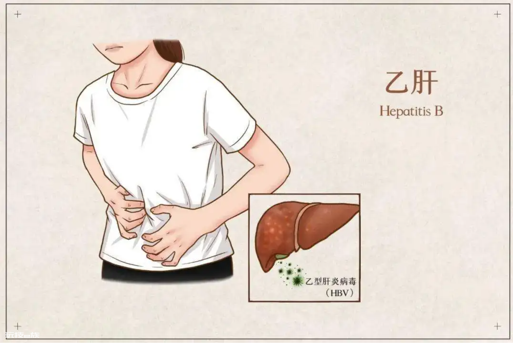 乙肝患者,坚持服药不喝酒,会得肝硬化吗?寿命有多长?一文解答-图片2