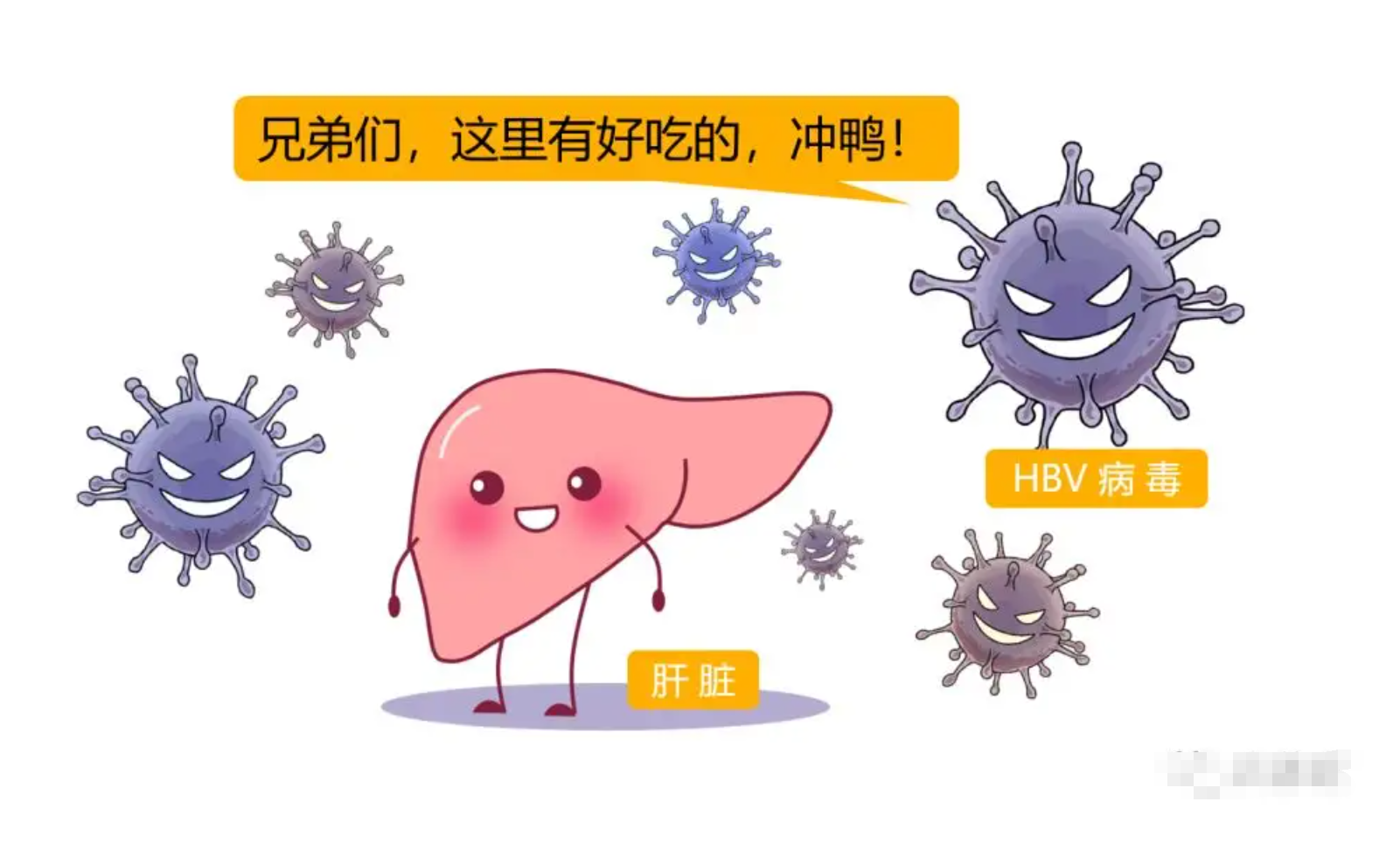 乙肝患者,坚持服药不喝酒,会得肝硬化吗?寿命有多长?一文解答-图片4