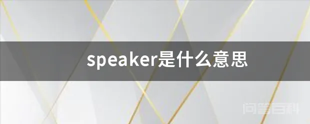 speaker是什么意思-图片1