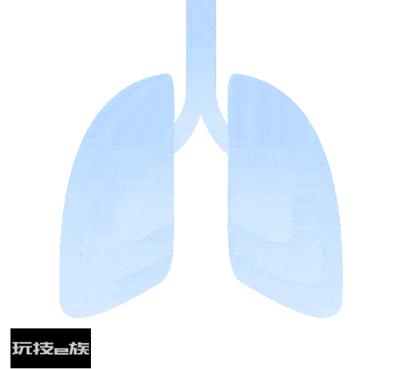 荆州七所中学参与,2.24万考生在线观看!-图片6