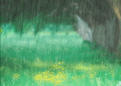时间煮雨,雨落情长。-图片8