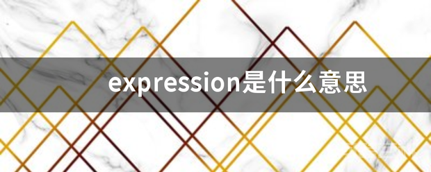 expression是什么意思