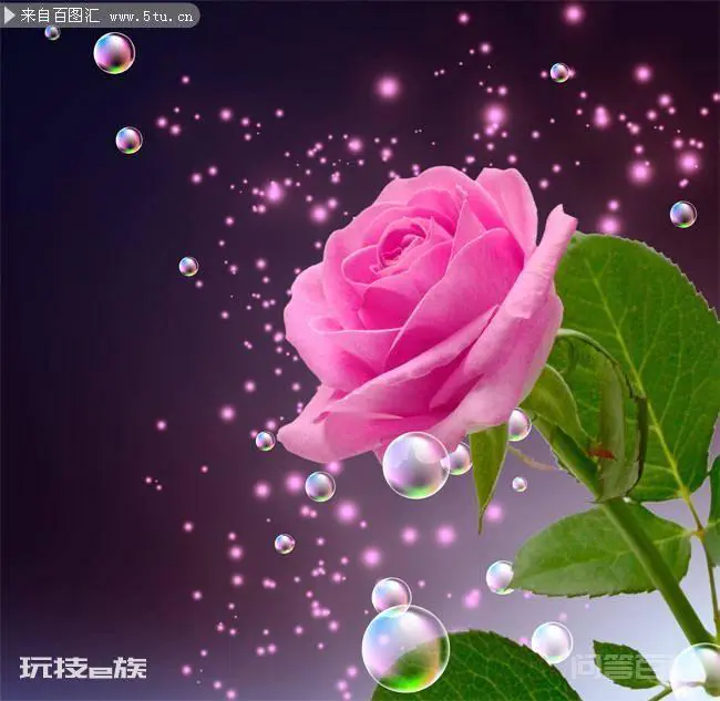 时间煮雨,风吹雨成花