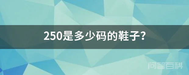 250是多少码的鞋子?-图片1