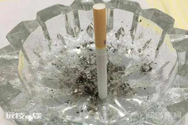 致吸烟的人:50%肺癌因吸烟而起,主动和被动吸烟,皆不可取-图片4