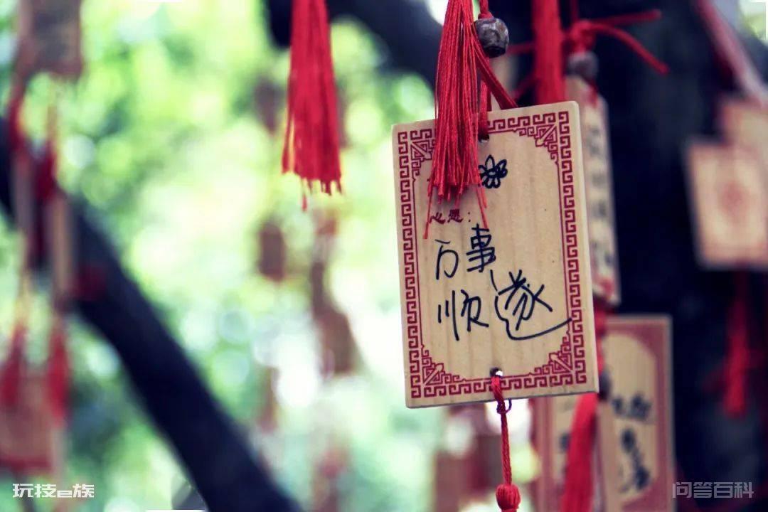 暑期进行曲-图片7