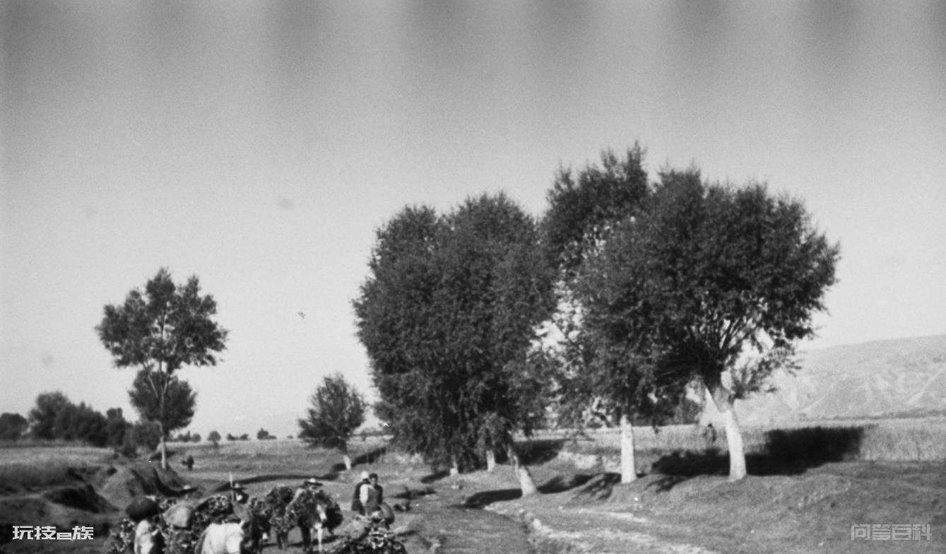 1936年的临夏：东乡族说蒙语、河州花儿有的淫，宗教氛围很浓-图片6
