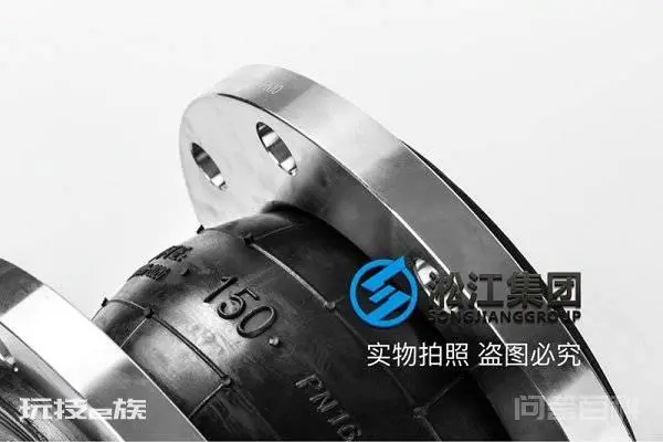 忻州市干式安装的泵RPHb/RPHd/RPHbd橡胶接头批发-图片4
