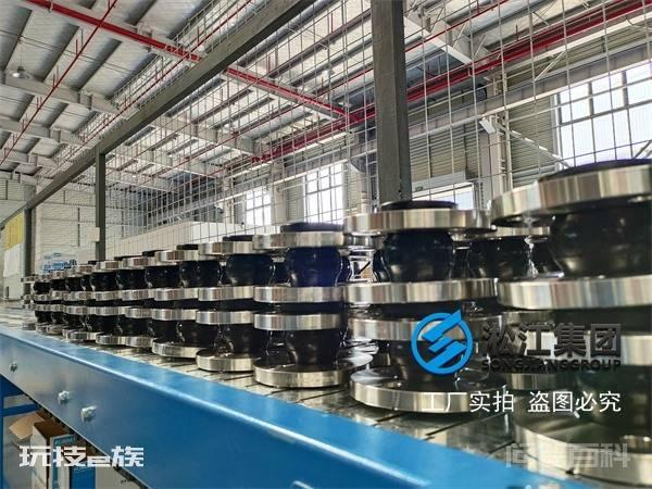 忻州市干式安装的泵RPHb/RPHd/RPHbd橡胶接头批发-图片6