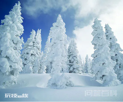 描写“雪”的现代诗有哪些?-图片1