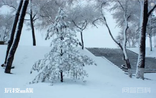 描写“雪”的现代诗有哪些?-图片2