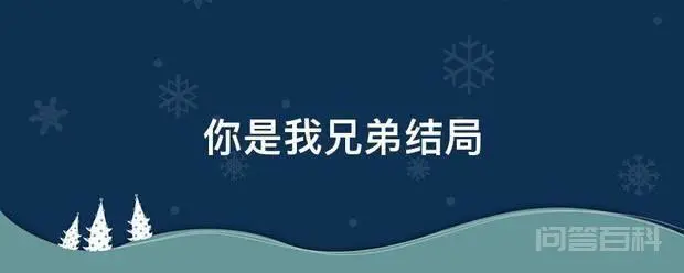 你是我兄弟结局