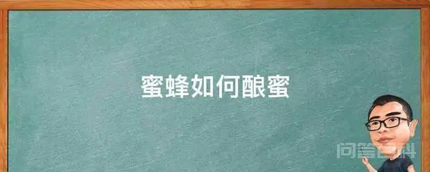 蜜蜂如何酿蜜