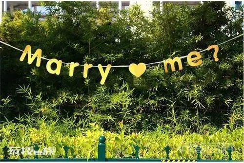 marryme翻译中文是什么意思?