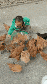 搞笑GIF趣图:穿衣服的还真怕光腚的-图片3