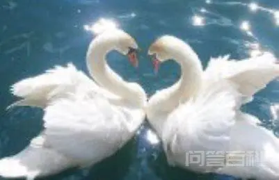 郑秋冬与罗伊人,真的只有“错错错、莫莫莫”的缘分吗?-图片6