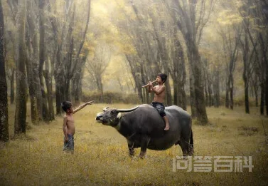 悠然自得的意思用具体的情景表现出来怎么写?-图片1