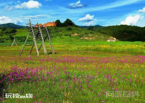 香格里拉有什么好玩的,好吃的-图片2