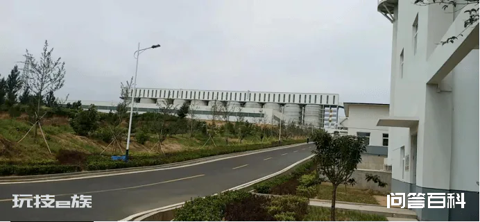 美丽日“冀”,社会实践助力美丽中国-图片1