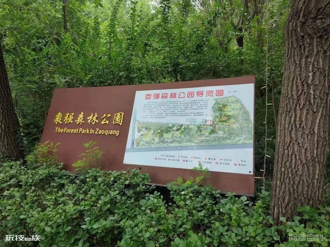 美丽日“冀”,社会实践助力美丽中国-图片14