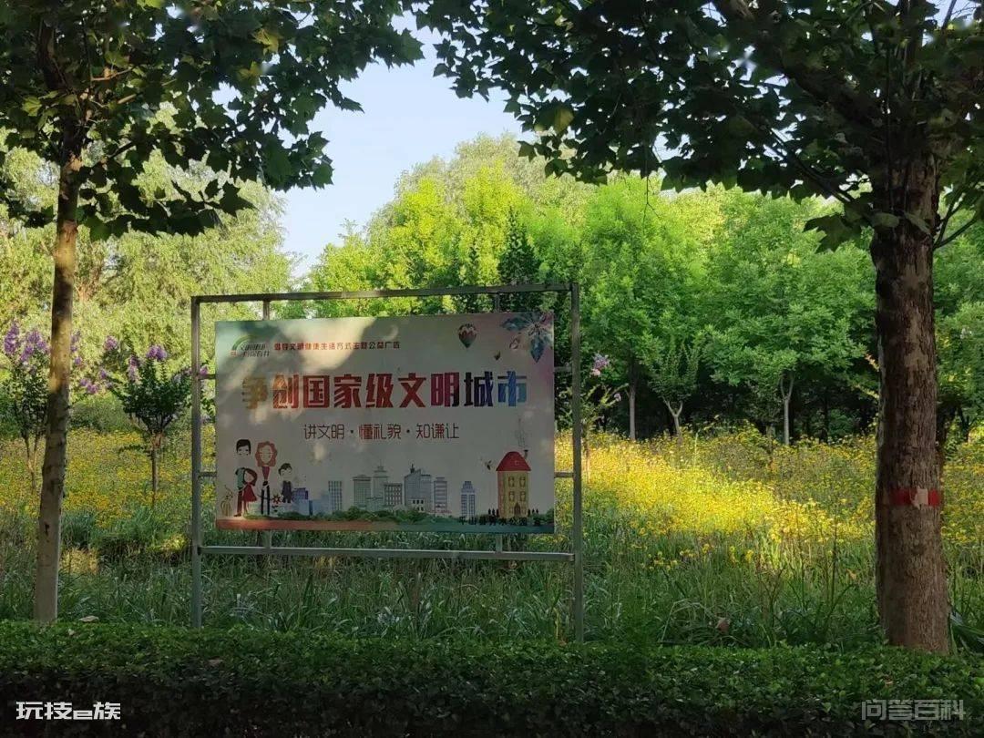 美丽日“冀”,社会实践助力美丽中国-图片16