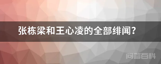 张栋梁和王心凌的全部绯闻?