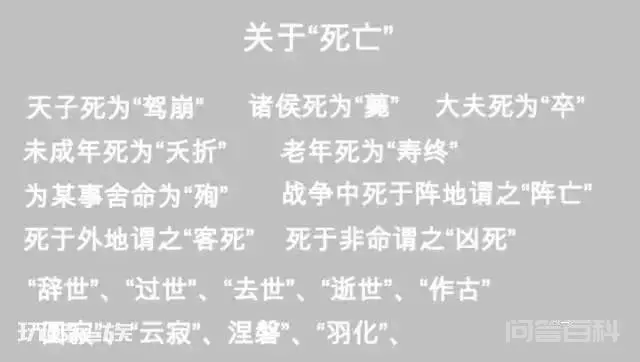 地铁站英文改汉语拼音怎么了?-图片14
