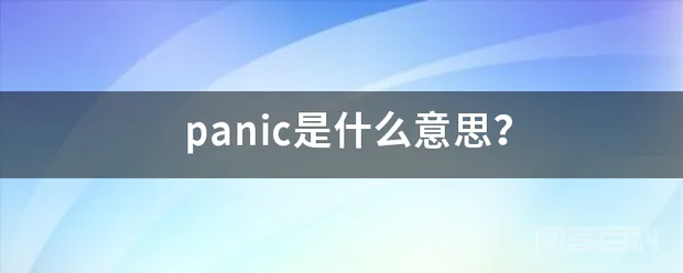 panic是什么意思?-图片1