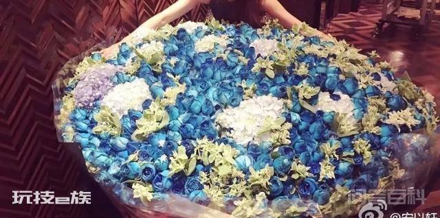 “逃离”汪小菲的安以轩,是真赢家吗?-图片10