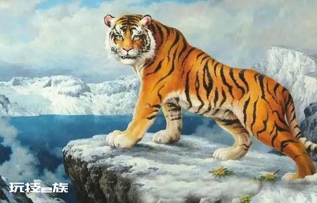 2022属虎人的全年运势如何 2022属虎人需要注意什么