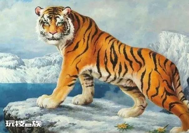 属虎男孩最吉利的名字 属虎的男孩名字宜用字