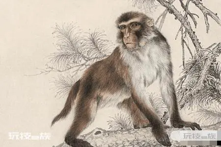 7月生肖猴能桃花旺盛吗 2021年生肖运势-图片2