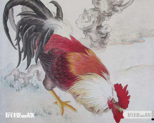 2005年出生的今年几岁 属鸡的男人命运好不好
