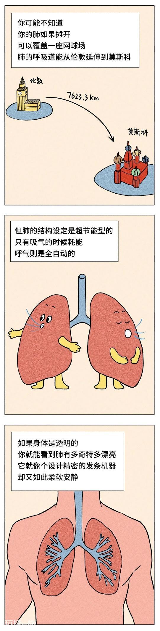 你的身体，比你想象中更爱你-图片14
