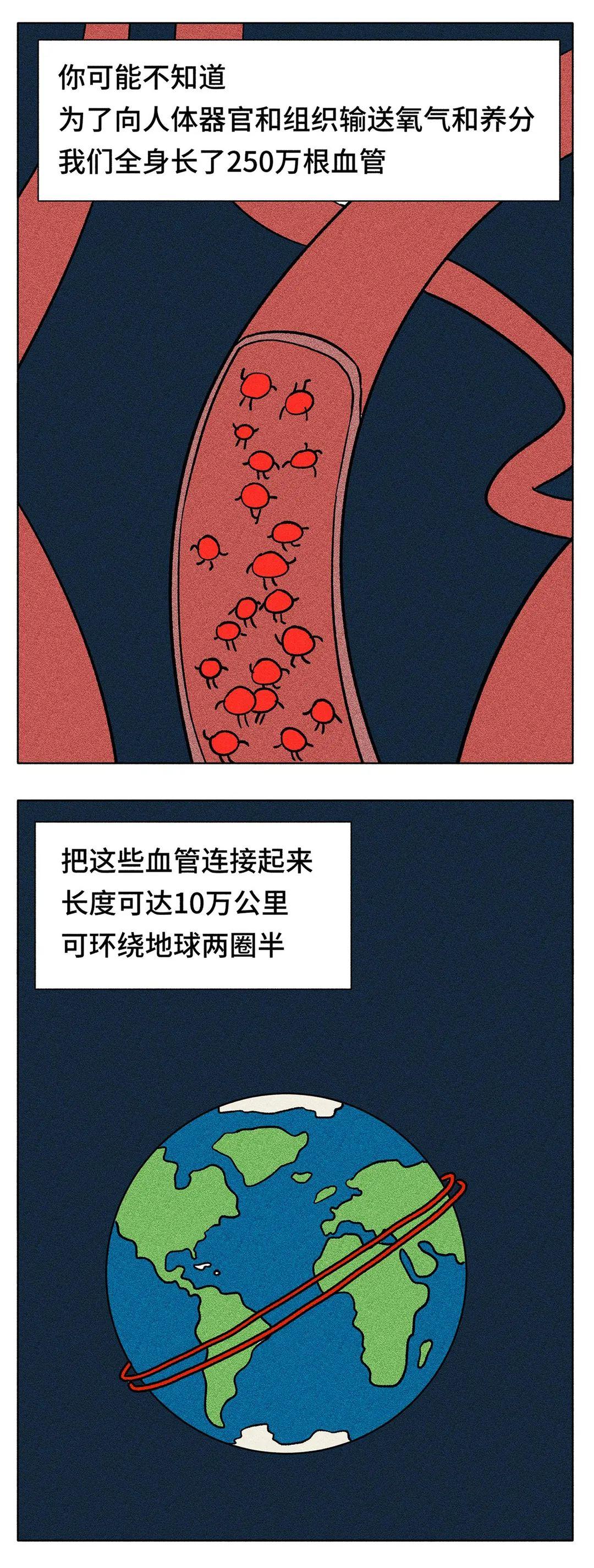 你的身体，比你想象中更爱你-图片7
