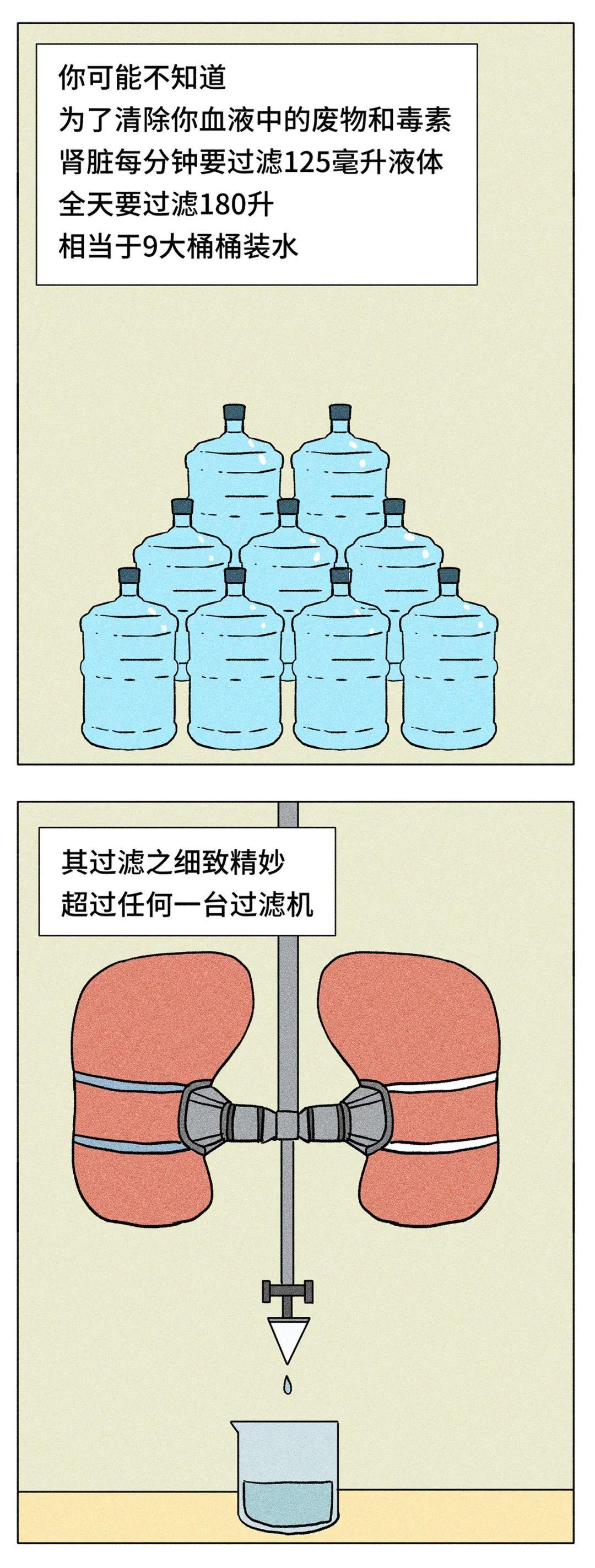 你的身体，比你想象中更爱你-图片8