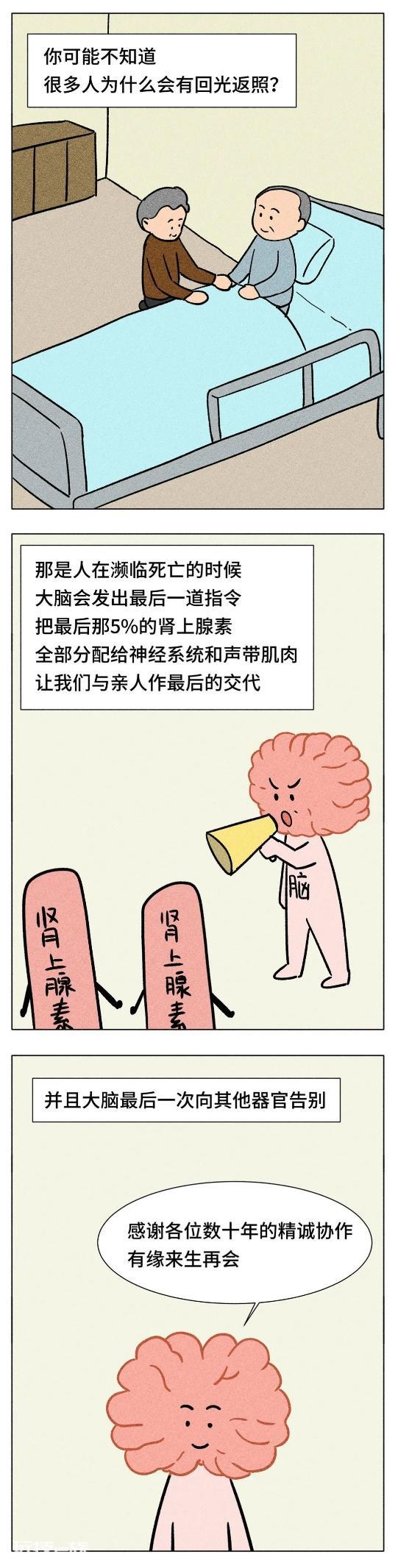 你的身体，比你想象中更爱你-图片20