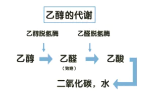一喝酒就“变脸”,是酒量不好还是人品不好-图片1