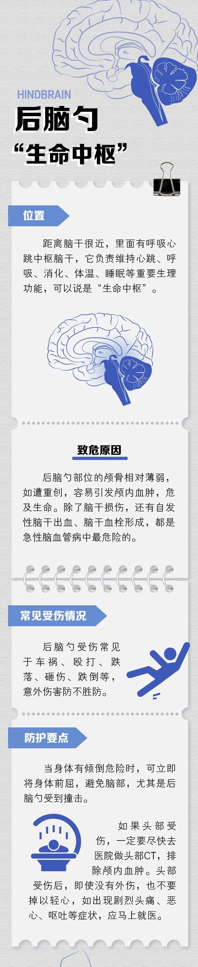 注意！人体6大薄弱位置图解，伤到哪个都有“致命”风险-图片2